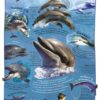 Poster: Dolfijnen - 1 stuk PROMO!-777