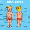 Poster: Mon corps - 1 stuk-810