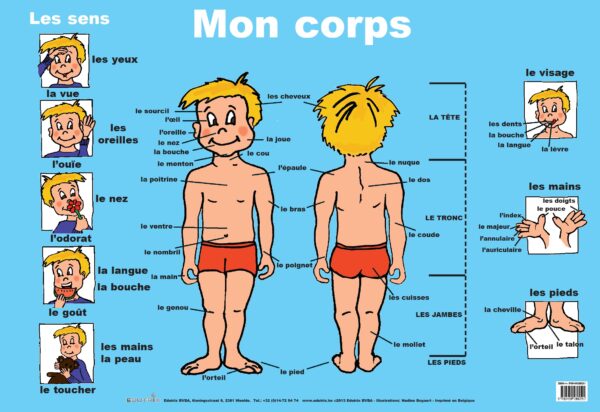 Poster: Mon corps - 1 stuk-810